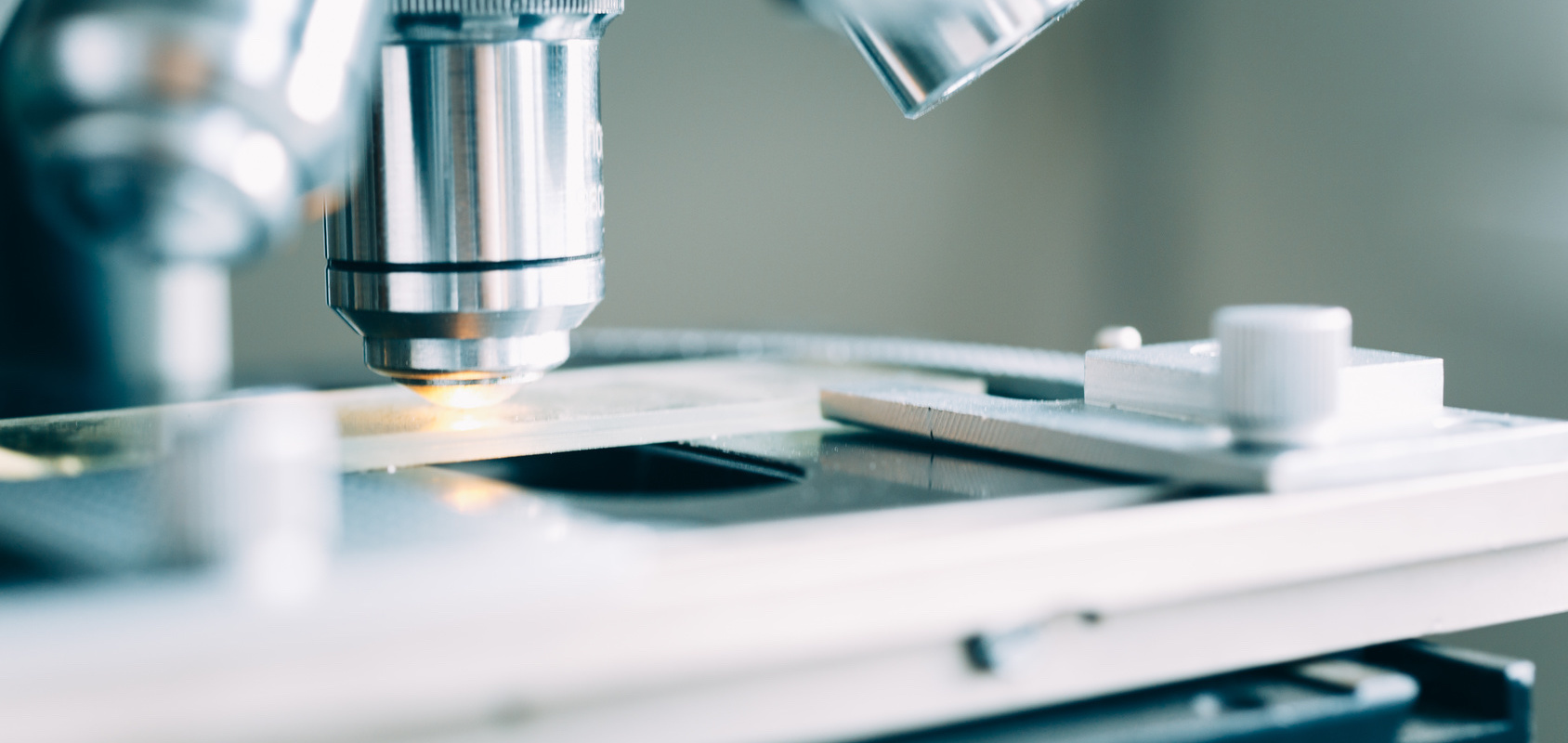 Fertility Research